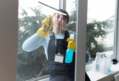Nettoyage de vitres intérieures et extérieures à Domalain